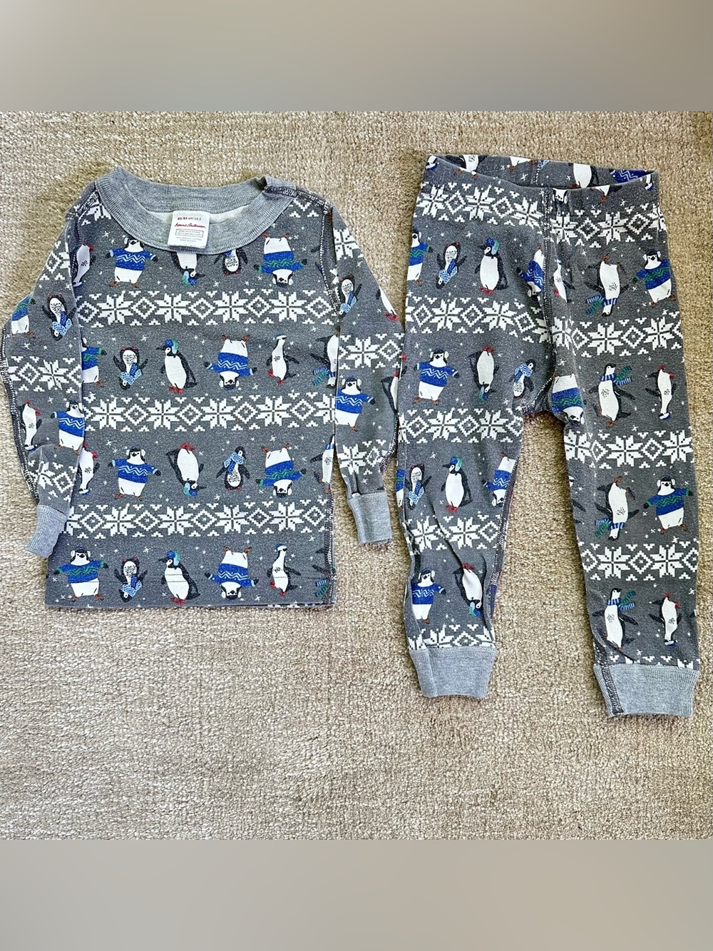 Hanna Andersson Grey Penguin Print Pajama Set with Blue Accents